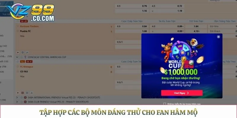 Tập hợp các bộ môn đáng thử cho fan hâm mộ